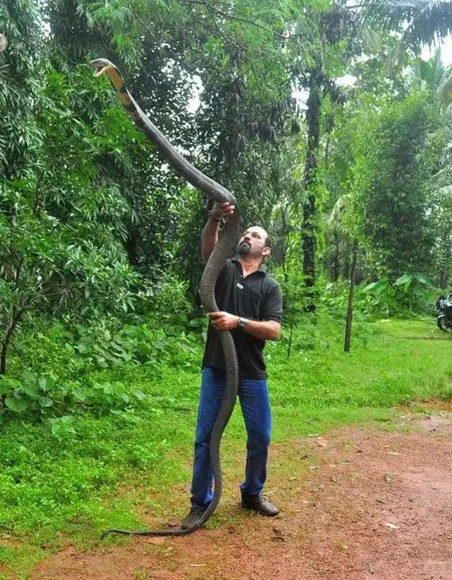 35p一般不常见的“野图”