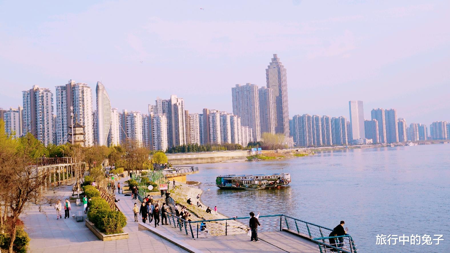 芜湖 芜湖“太阳鱼”泛滥，体型大不躲人，钓都钓不完