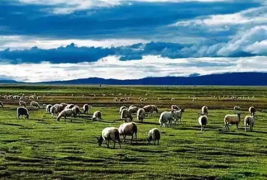 西藏 去西藏只知布达拉宫就落伍了,本地人推荐的7个打卡地,值得一去