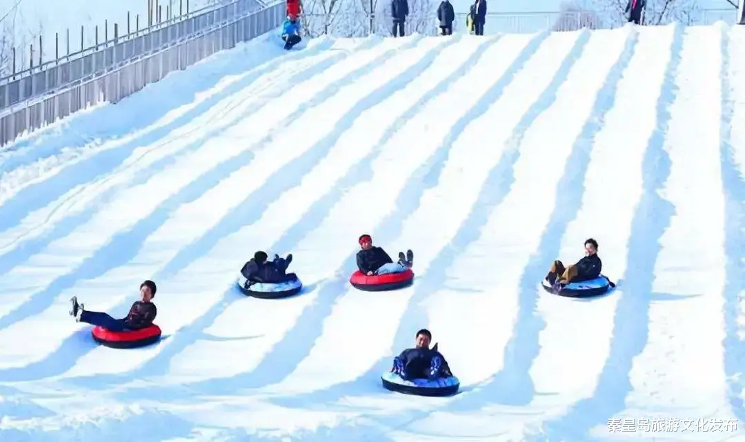 雾凇|玩转冬天！秦皇岛奥体冰雪季，家门口的戏雪乐园~