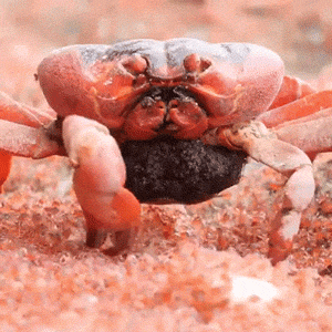 萌萌萌说|“奉劝你们p图不要别太过分！！”我的心情莫名复杂...哈哈哈...