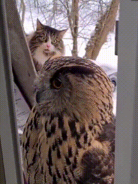 广东省|“地铁上看见心仪的女生，但她的职业很特殊！”你敢上去搭讪吗？