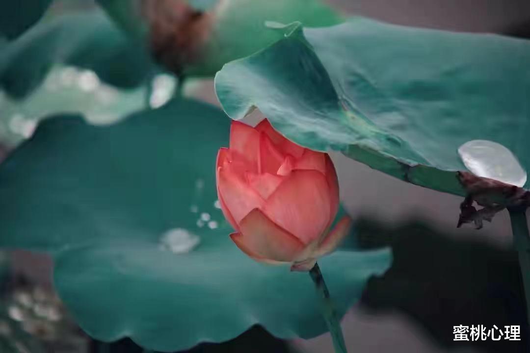 蜜桃心理|心理学：不到万不得已，千万不要在晚上做出任何决定