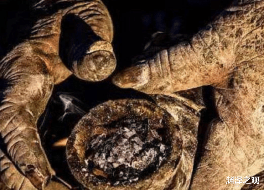 吉尼斯世界纪录|吉尼斯纪录保持者哈吉：60年没有洗过澡，身体像是穿了铠甲一样