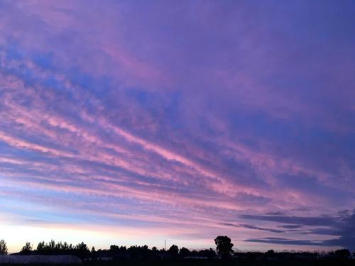 染夏英子|人到晚年,要有安身立命的资本,不然会生活困难