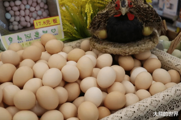 保存鸡蛋别直接冷藏,养鸡大姐教我一招,3个月不会坏,新鲜如初