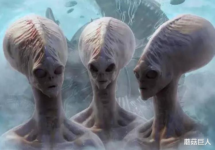 类人族与爬虫族史前大战,是神话或远古秘密,烧脑的秘密