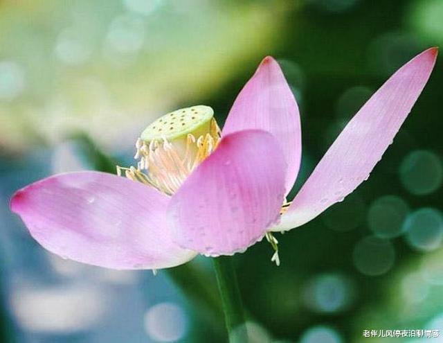 情感|2021年了,你该怎么活?看完豁然开朗