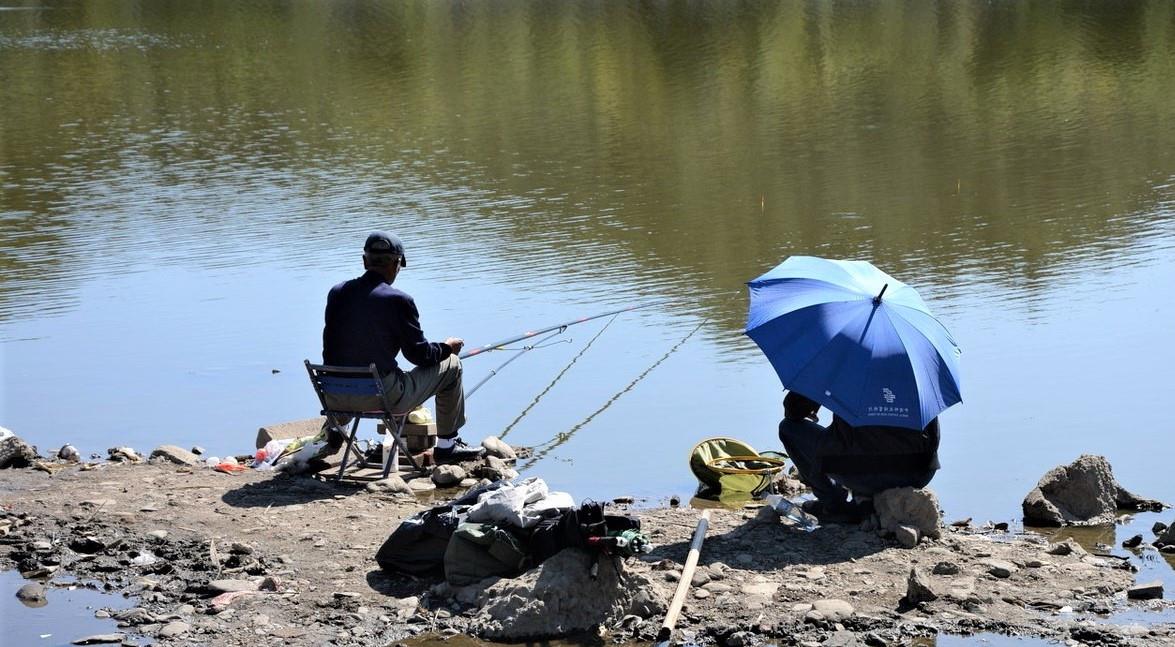 饵料|夏末初秋退水鱼难钓？这样调整钓法，钓的鱼比平时多一倍