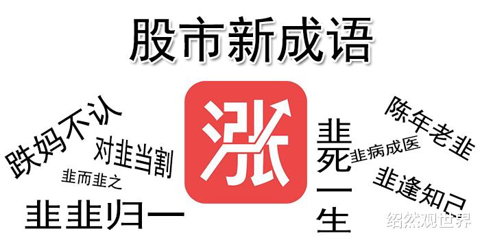 绍然观世界 网络用语，股市新成语流行词，跌妈不认什么意思