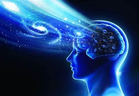 人类将成两栖物种？元宇宙“爆火”：要么疯狂，要么灭亡