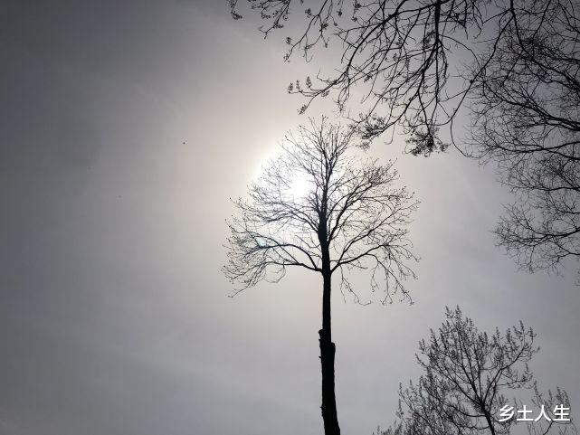 今天九月十六,老人说:“今日九月望,月厌地火生”,是啥意思?
