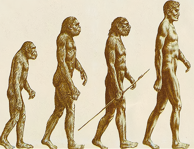 航天 梦呓随谈丨起底人类起源之谜