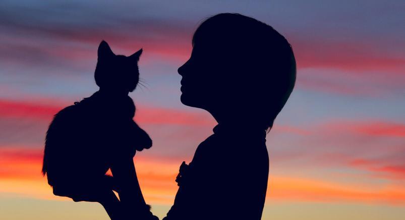 健蕾聊时尚|微信头像潜藏的心理学：层次越低的人，越喜欢用三种头像掩饰自己