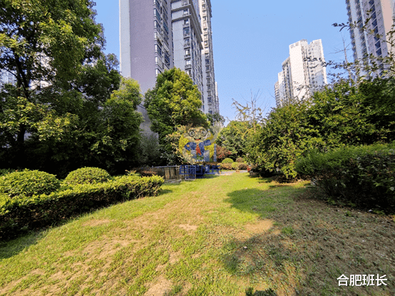 |滨湖二手房天花板，实探46和师范附小双本部的书香门第！