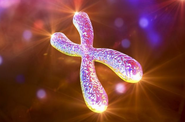 科学家 为何人类不能实现永生?科学家:已找到方法,但不敢轻易尝试