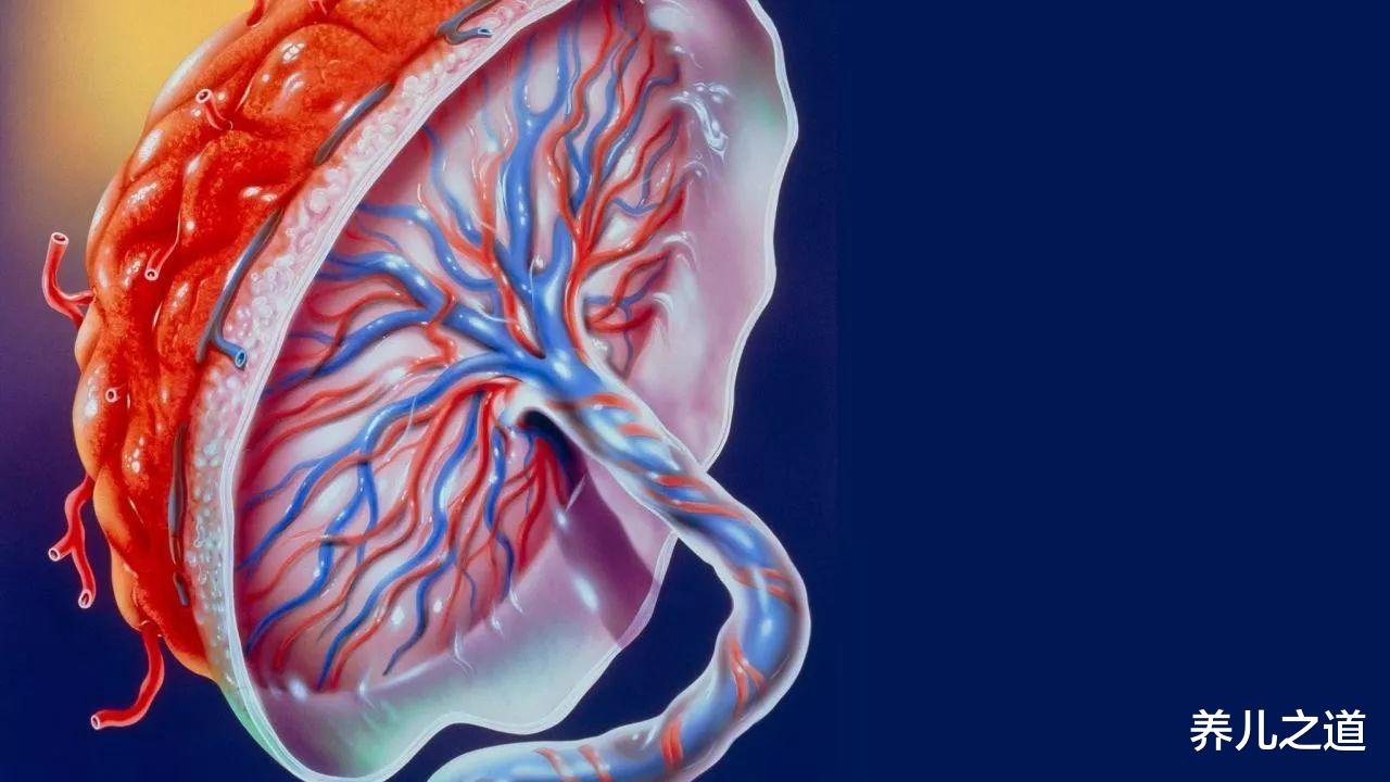 养儿之道|产妇前一秒刚“卸货”,后一秒又一阵剧痛,怒斥医生为啥不打招呼