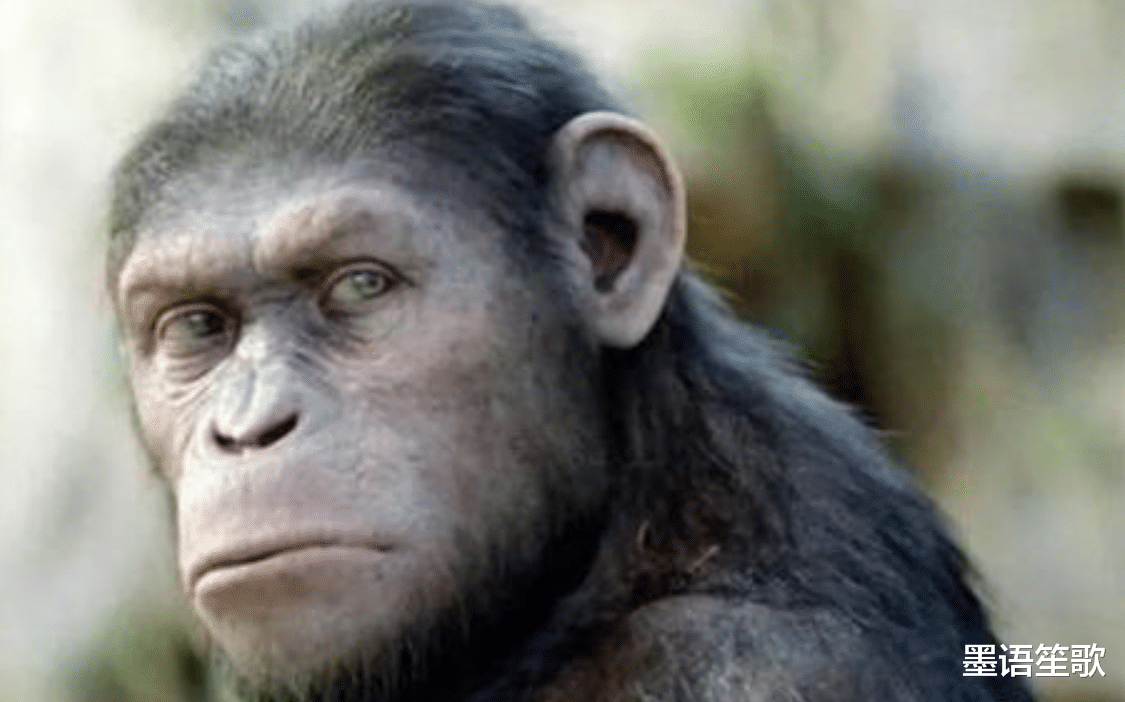 航天员 苏联开展“人猿杂交”实验，5个女子参加，最后结果如何？