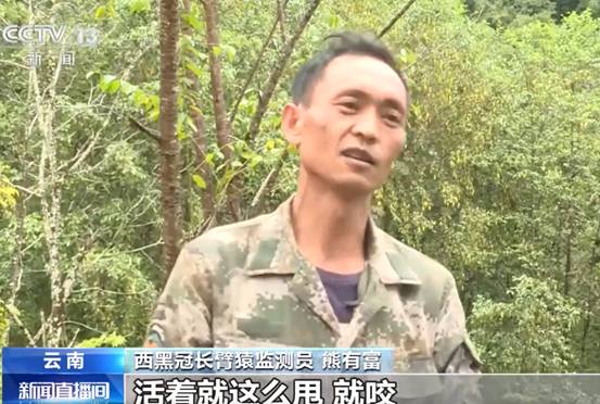 云南出现吃鼯鼠的长臂猿,它只吃肉不吃皮毛,这是在进化吗?