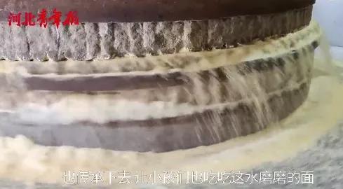 石家庄日报客户端 石家庄71岁老人在河边守了一辈子，只因心里放不下这件事