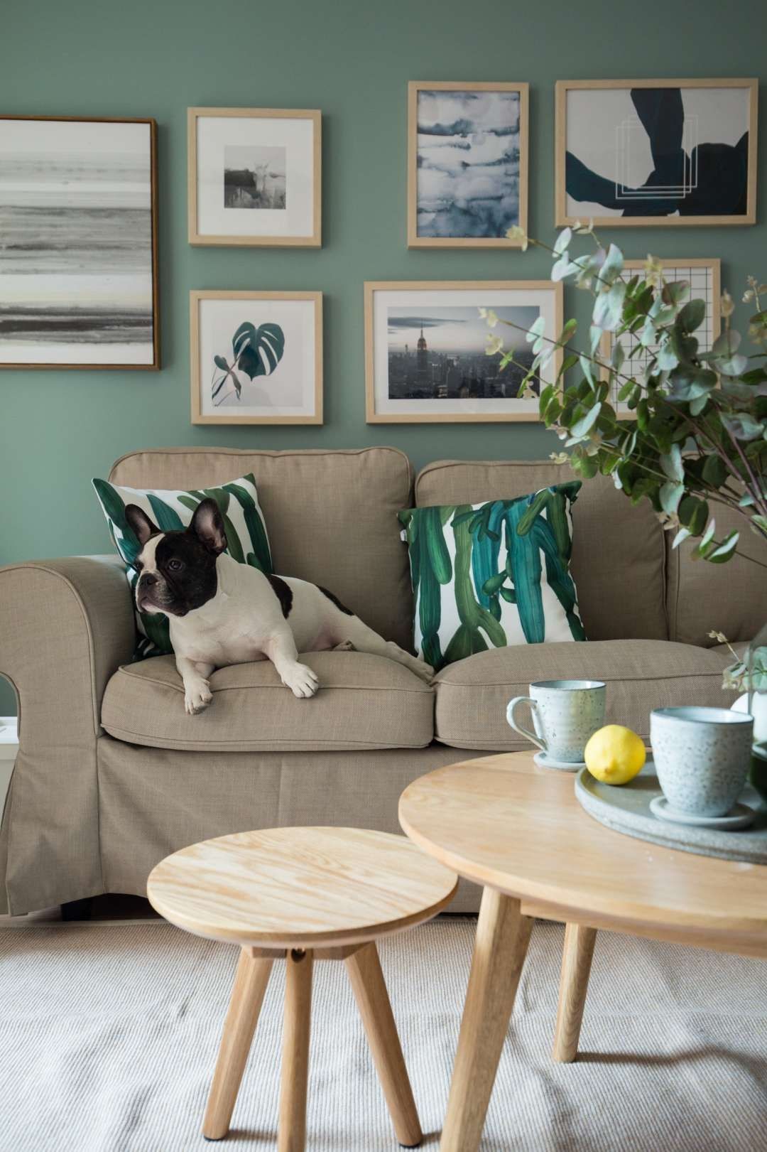 |民宿风的一居室,以清新舒适为基调,每天都像是在度假