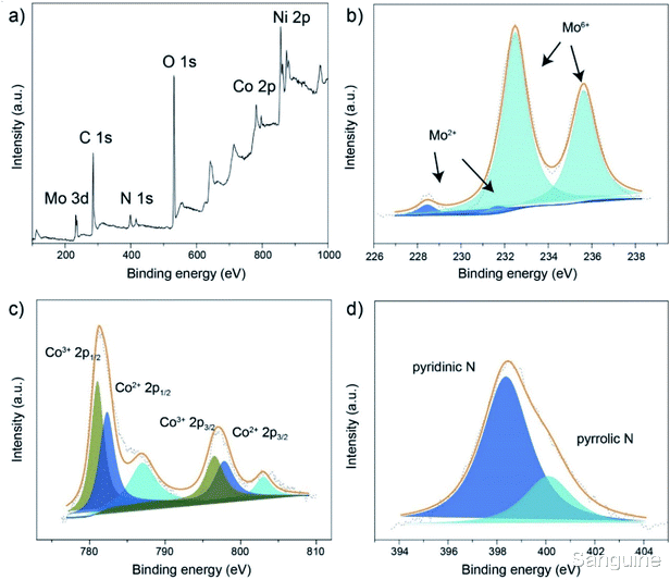 纳米 MOF衍生的超细碳化钼纳米颗粒负载在泡沫镍上的原位生长作为高效的析氢电催化剂