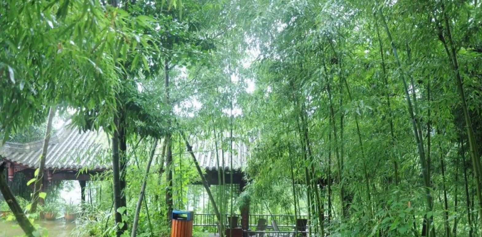 行星秘闻|成都周边游:湖泊不输马代,山水不输桂林,美!