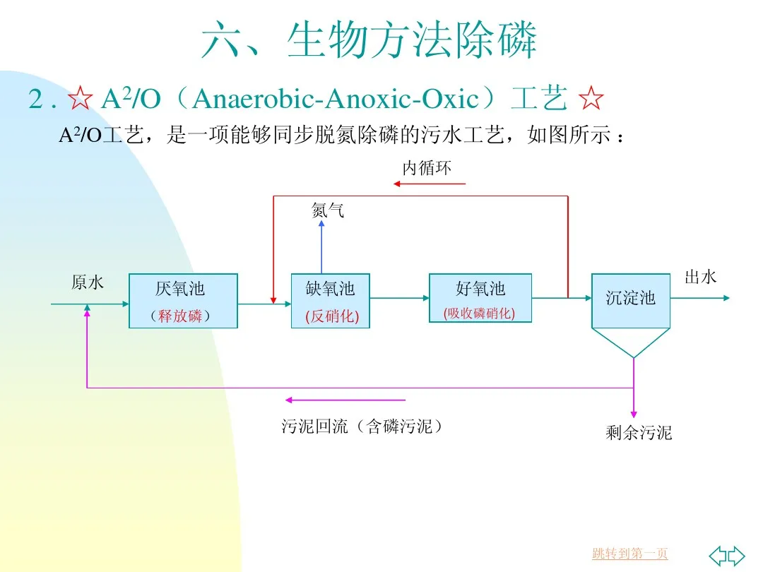 污水处理设备 污水处理脱氮除磷工艺,涂山环保