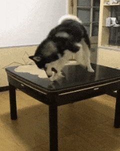 杨钰莹|“马总化腾的女儿又爆出近照，朋友们你们觉得漂亮吗？”