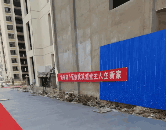 南阳|南阳“302”现状：革命尚未成功