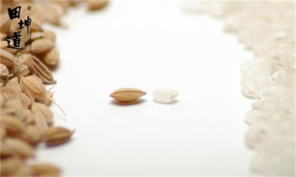 医生|关注饮食安全，不要让食物“金玉其外，败絮其中”