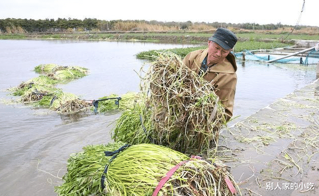 蔬菜|5种蔬菜赶紧撤下饭桌，或是寄生虫的“窝”，看看有你爱吃的吗？