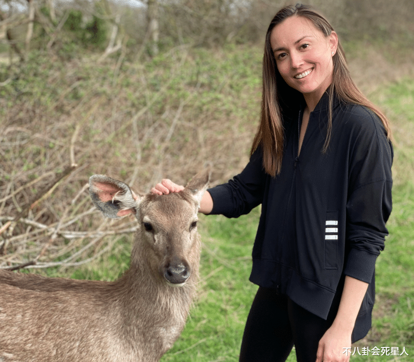 赵丽颖|梦想进豪门，最后一场空，这13位女星太可怜，有人被骗2.8亿
