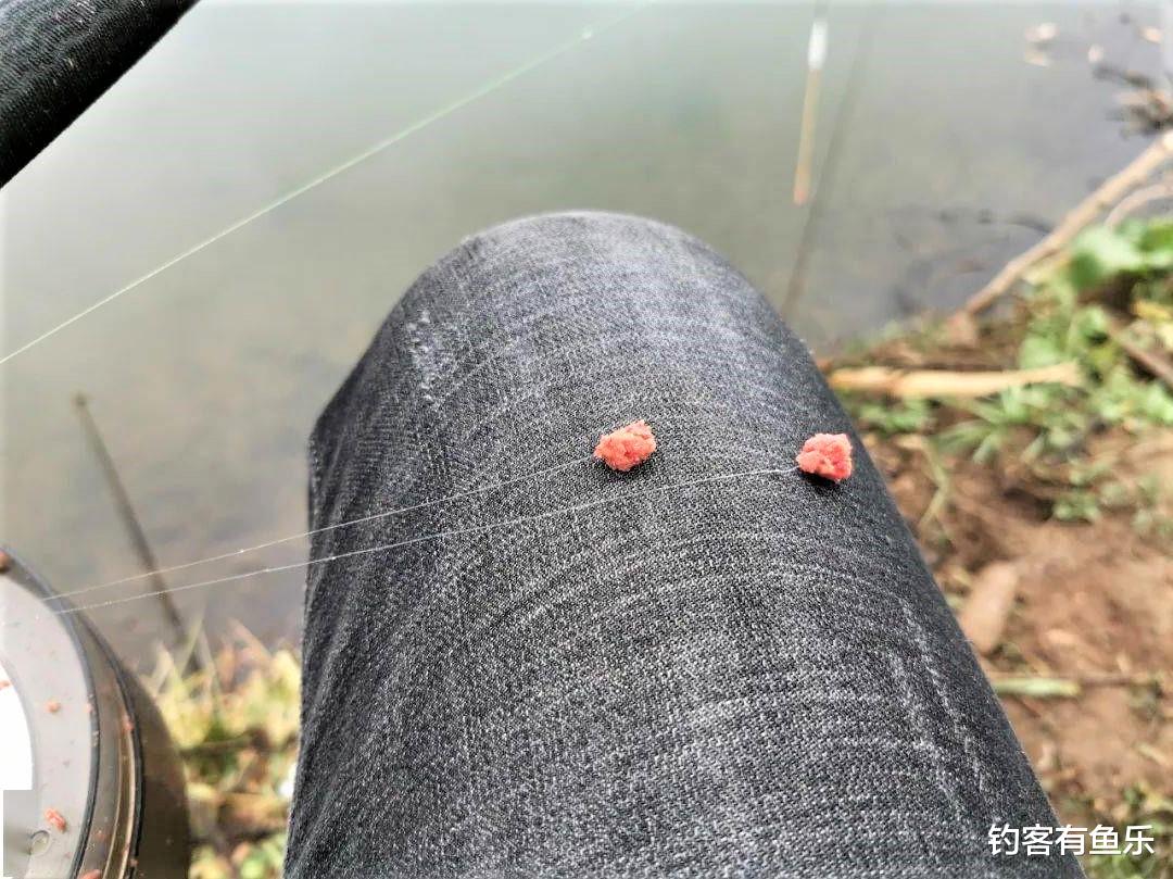 |夏天鲫鱼难钓？制定5点垂钓策略，不爆护都难