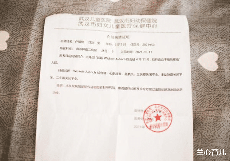 兰心育儿|为救病重儿子，夫妻拼二胎给儿子换血，谁知却“雪上加霜”