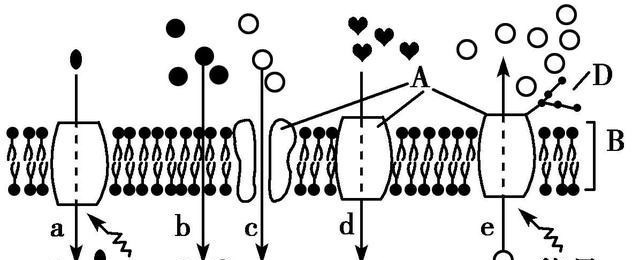 爱因斯坦 空间是世界上最强的幻觉，但证明它不存在很简单，这意味着什么？