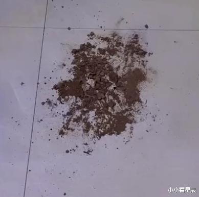 小小看星辰|湖北一女子发现家中都是泥土，顺着泥土到卧室，推门一看瞬间懵了