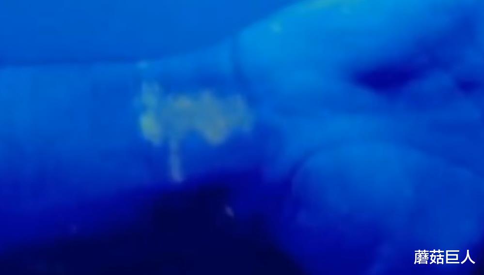 太空 神秘飞船造访,能写“星际旅行方程式”的学渣,《第三类接触》全面来临了吗?