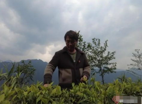 福贡快报 共产党的好说不完：从揭不开锅到日收入过千