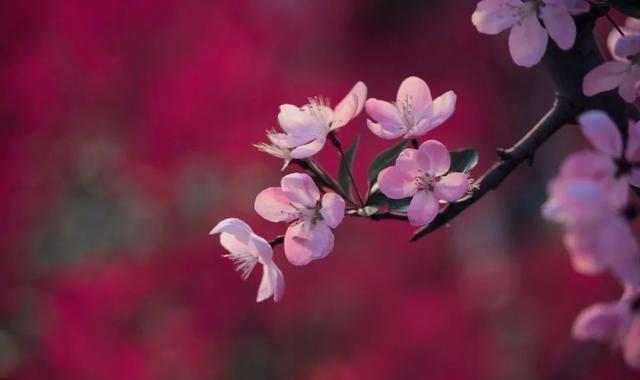 手机拍照问题集锦，用“知识点”避免摄影忌讳，快速提高照片质量