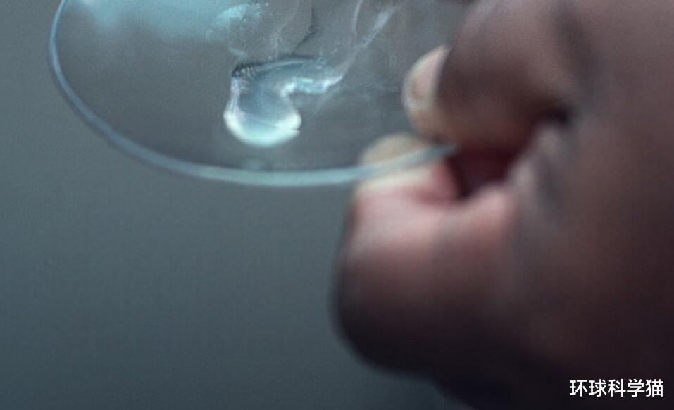 临高 差点“命送蛇口”！男子买竹叶青蛇喂食被咬，被蛇咬如何自救？