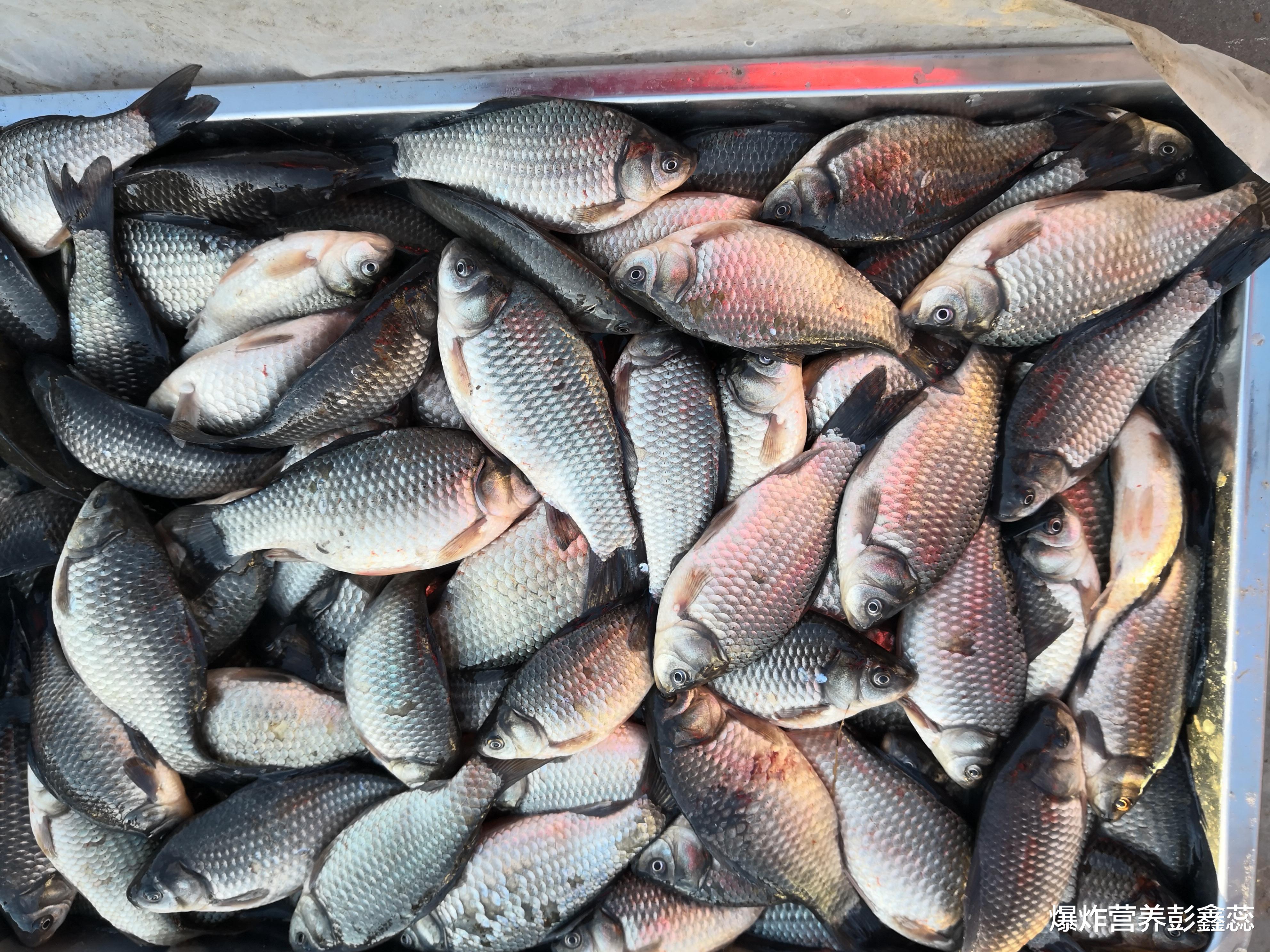 重金属|提醒：这几种常吃的美食，极有可能含有重金属，最好一口都不吃