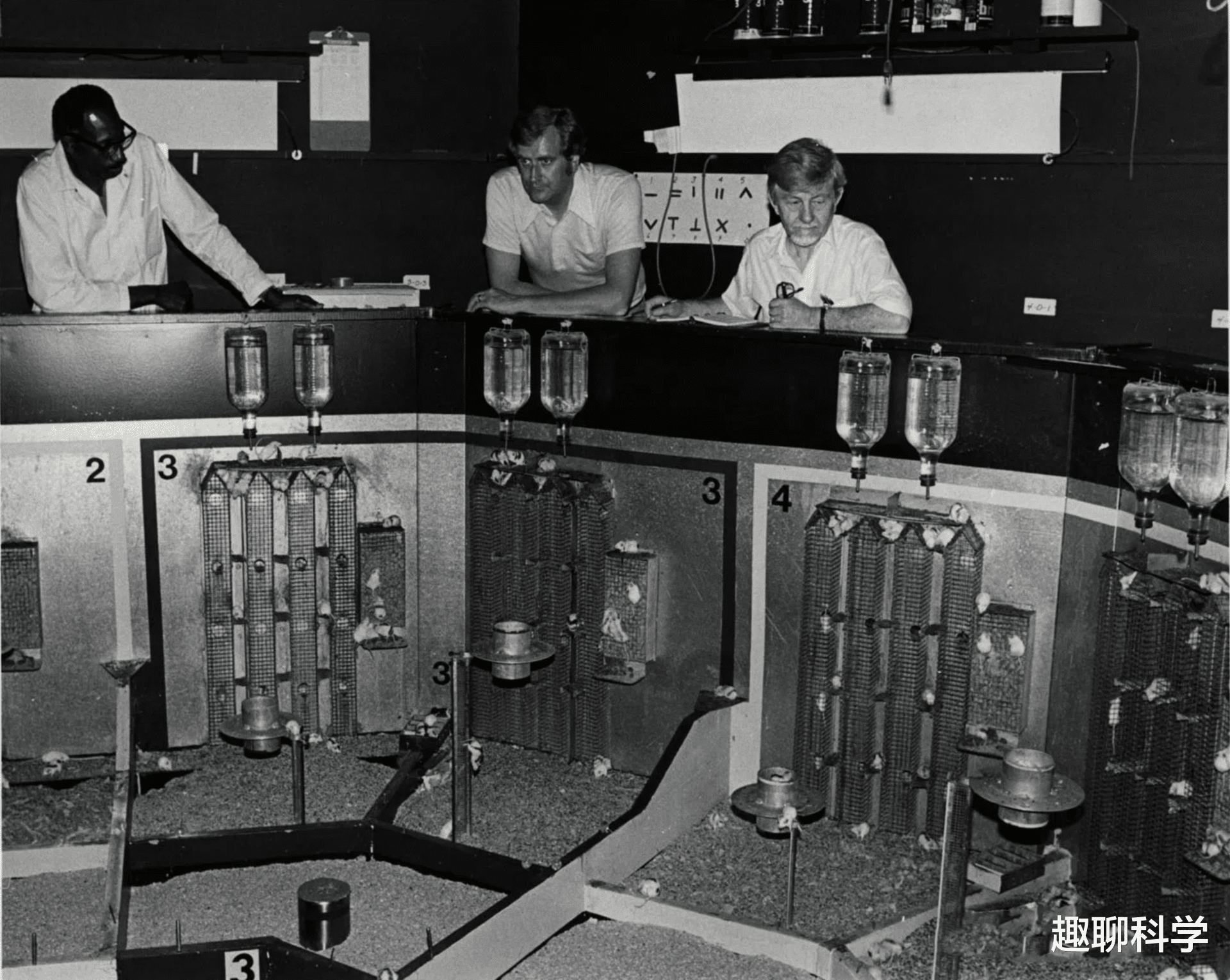 埃博拉疫情 “25号宇宙”实验，科学家用老鼠模拟人类乌托邦，结果无法接受