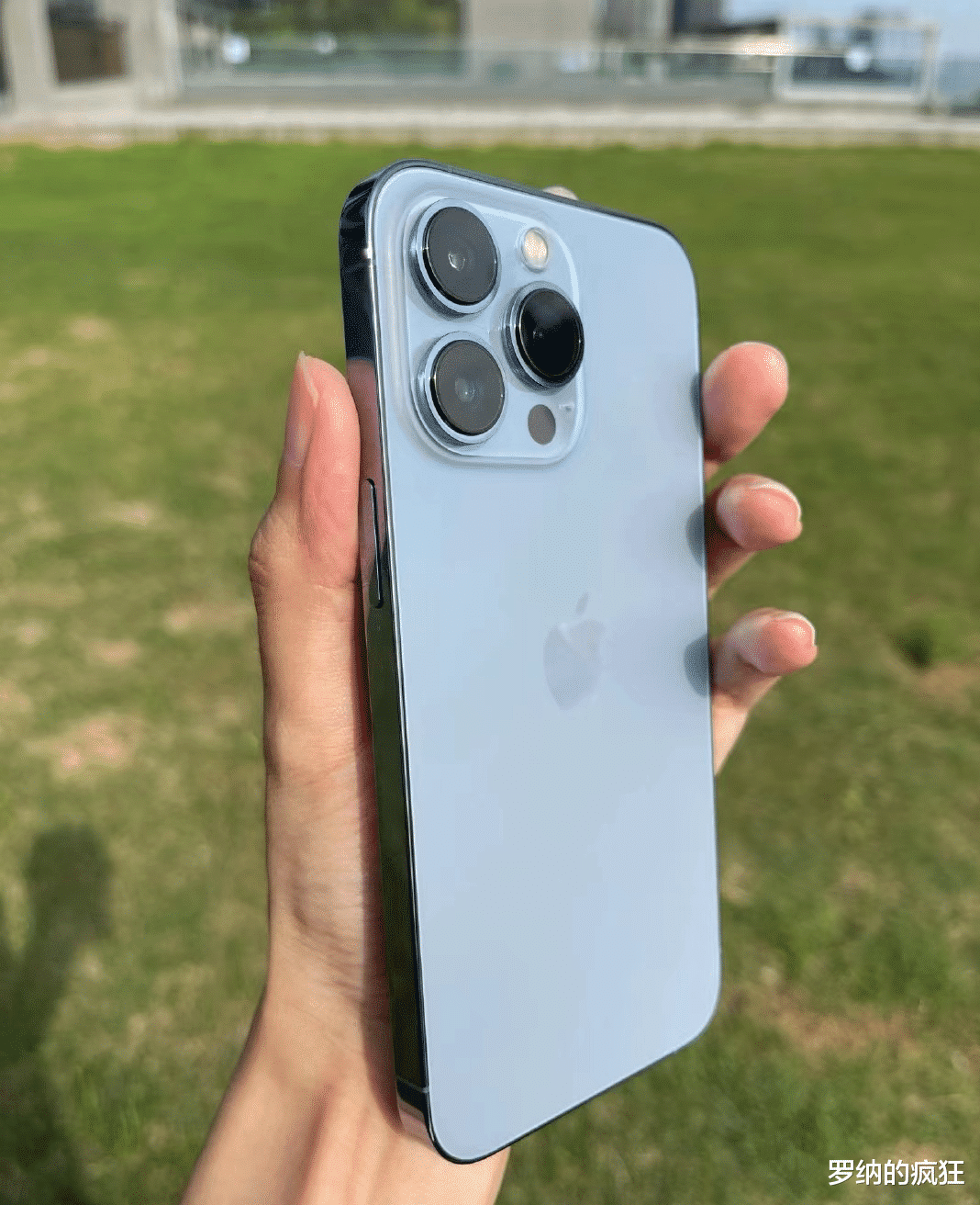 iPhone|截至目前四款“零差评”手机，买对不买贵，十二月换机必备