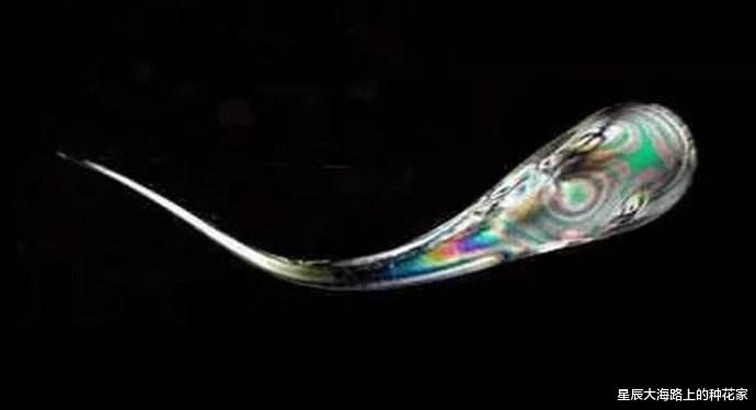 星辰大海路上的种花家 世界上最硬的鲁伯特之泪，扛得住子弹和铁锤，为什么一捏就碎！