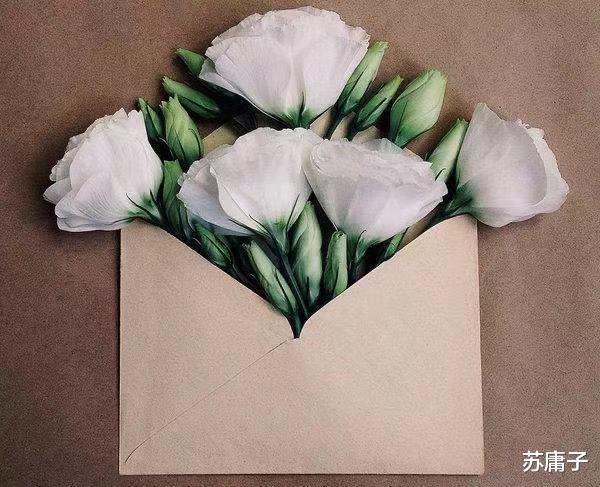 苏庸子|真正聪明的人，遇事有3不：不争辩、不发火、不回击