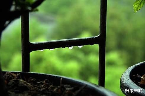 核酸检测 生命的意义：生命以负熵为生