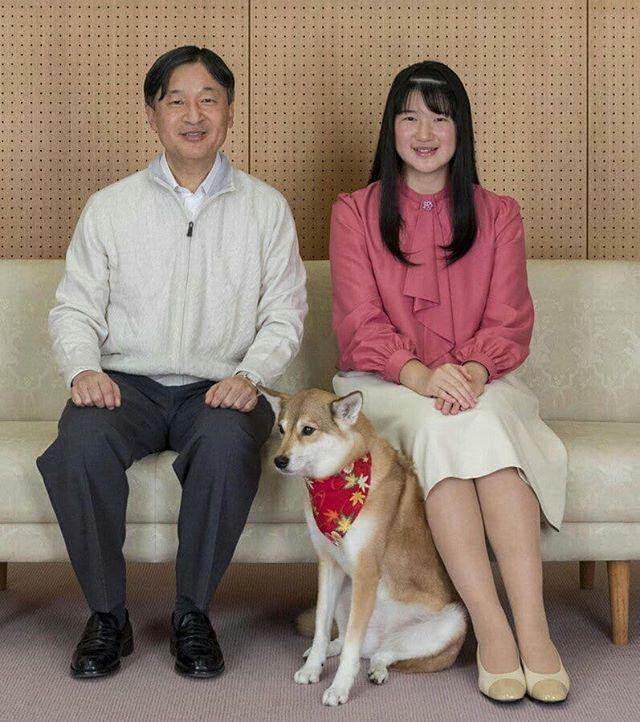 欧阳娜娜|日本爱子公主终于换发型了！齐刘海波波头有点呆萌，输给佳子真子