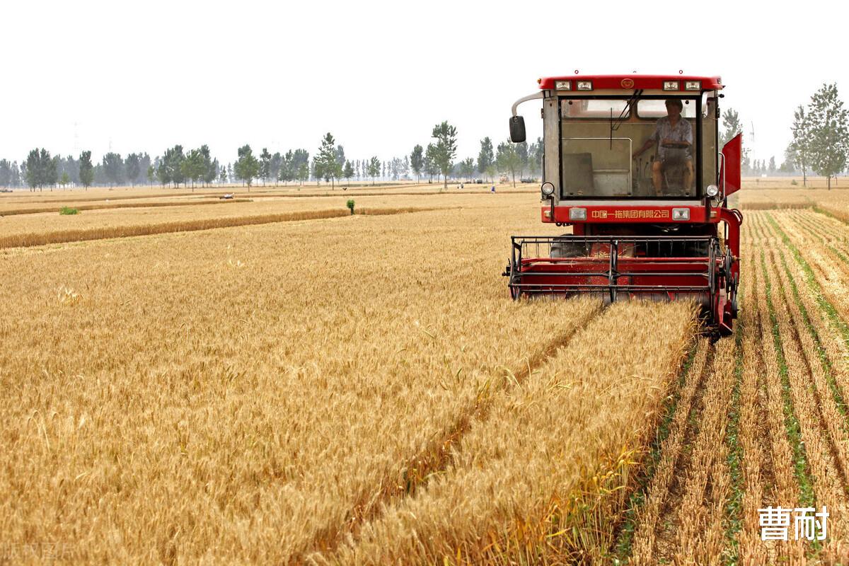 曹耐 河南，一半地级市都当过都城，一部鲜活的史书