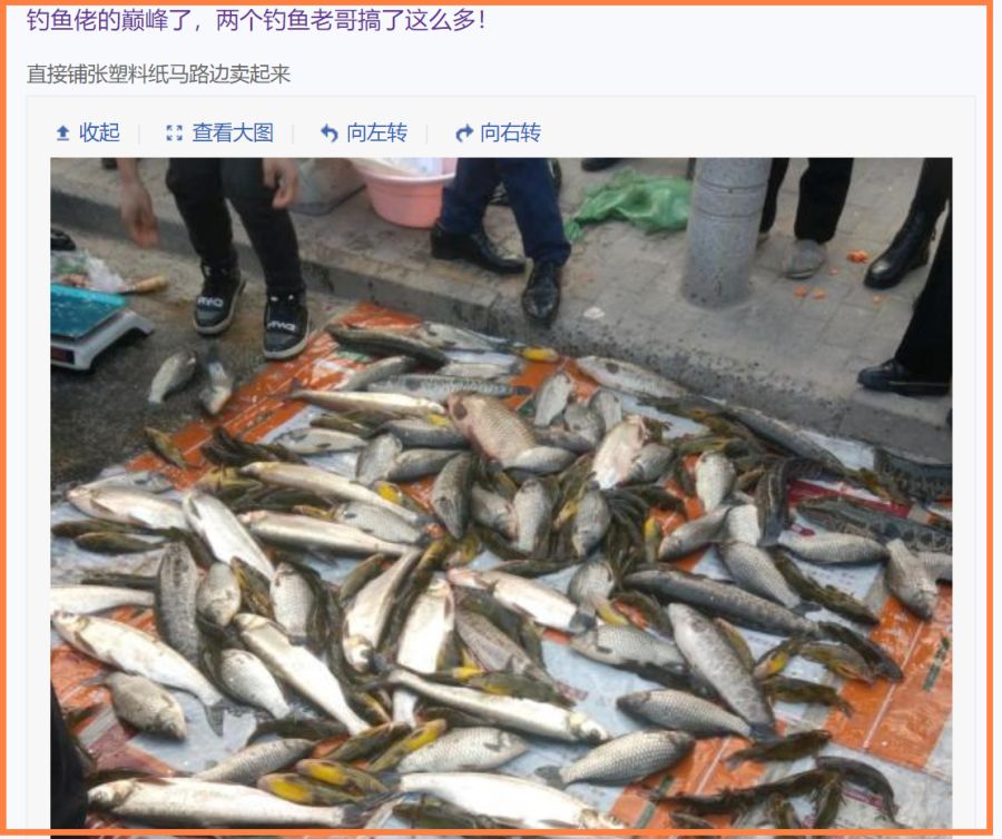 广州市|丢钓鱼人的脸?广州两位钓鱼人街头卖鱼引热议